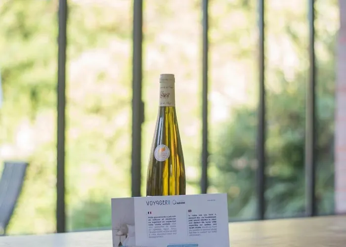 Dom wakacyjny L'oasis - Proche - Wifi - Jardin Pornic